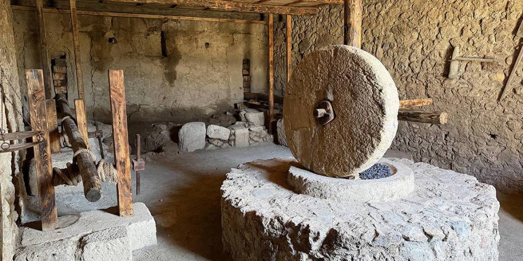 Tarihi kazılarda yeni keşifler! Zeytinyağı üretim merkezi tespit edildi: 3 bin yıl öncesine dayanıyor 4